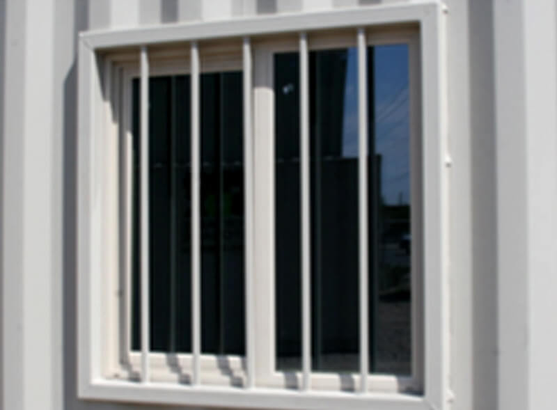 Windows & Skylights