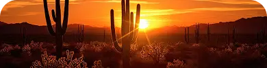 Tucson addmress main image
